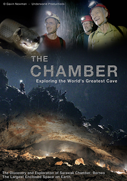 The Chamber_Poster 257x365